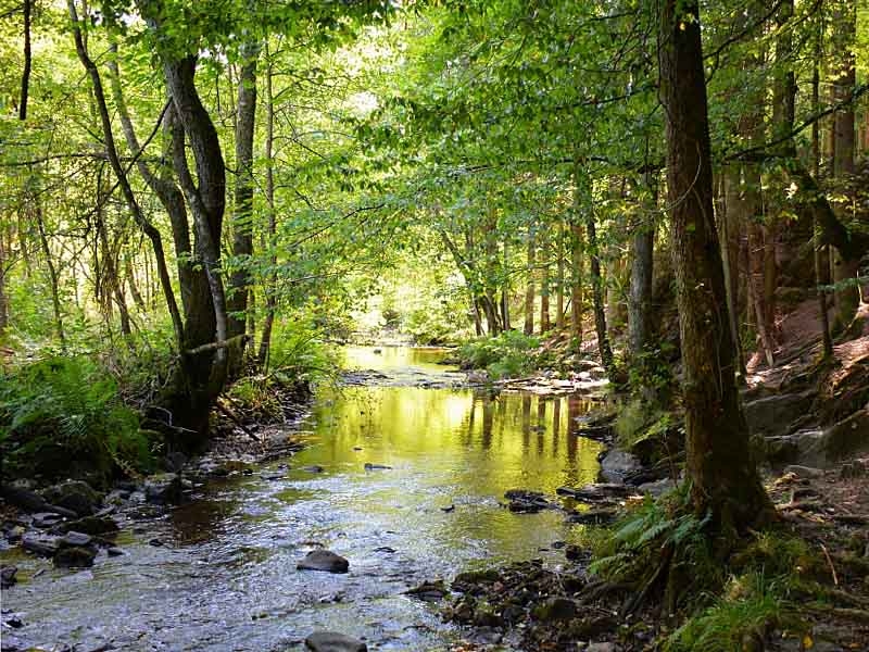 ardennen